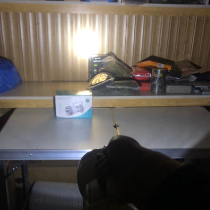 Outdoor Camping Atmospheric Hand Held Lamp