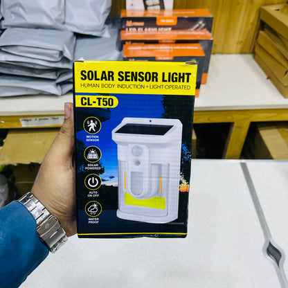 Solar-Powered Wall-Mounted Tungsten Filament Lamp CL-T50