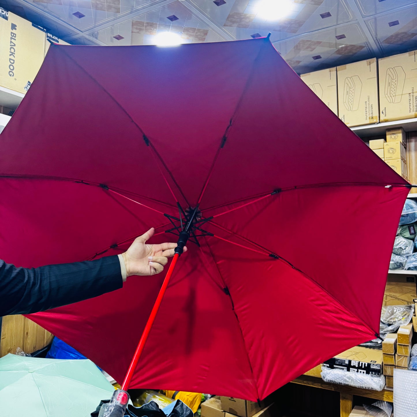 BMW Big Size Outdoor Folding Automatic Umbrella 2-3 Persons