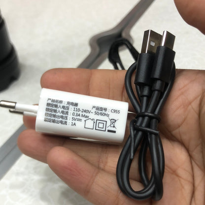 High Power Big Size Led Laser Flashlight SLH-891