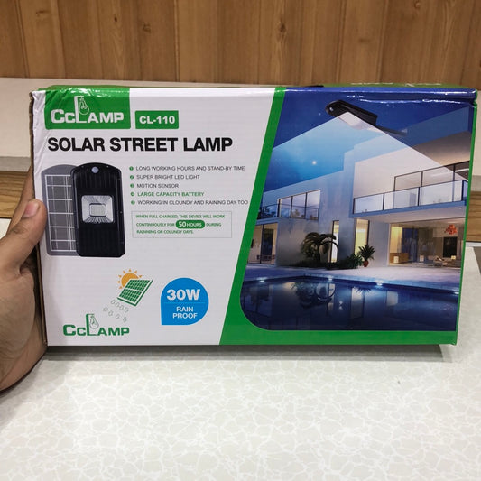 Solar Street/Lawn Lamp With Motion Sensor & Stand By Mode CL-110